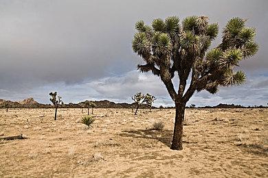 3DM速报：给她爱6大泄露，暗黑4也泄露