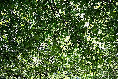 双摇杆射击新作《黑寡妇：再充能》面向各大平台公布